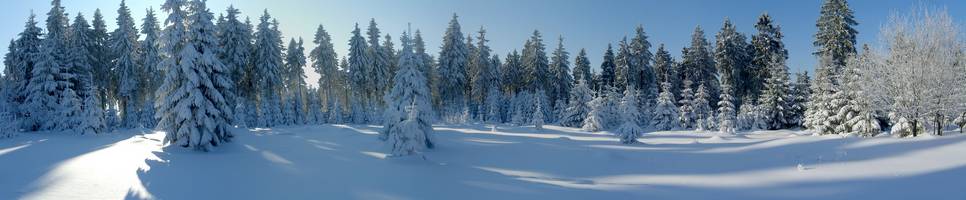 Bornhügel Winter 2008