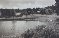 Bernhardsthal / ein Naturbad mit Fröschen ;-)