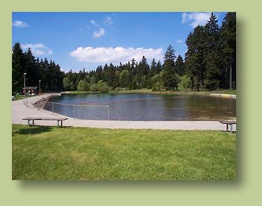 Waldbad Bernhardsthal - Das Becken